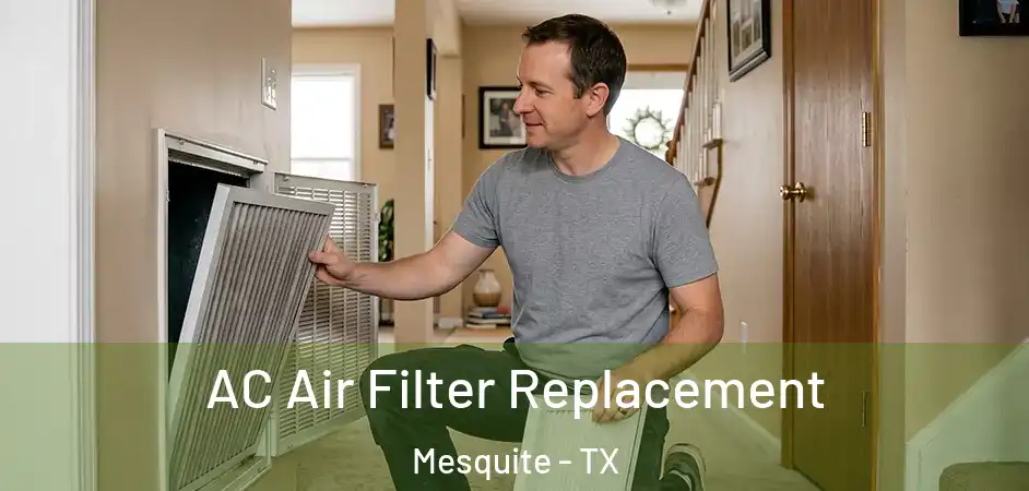 AC Air Filter Replacement Mesquite - TX