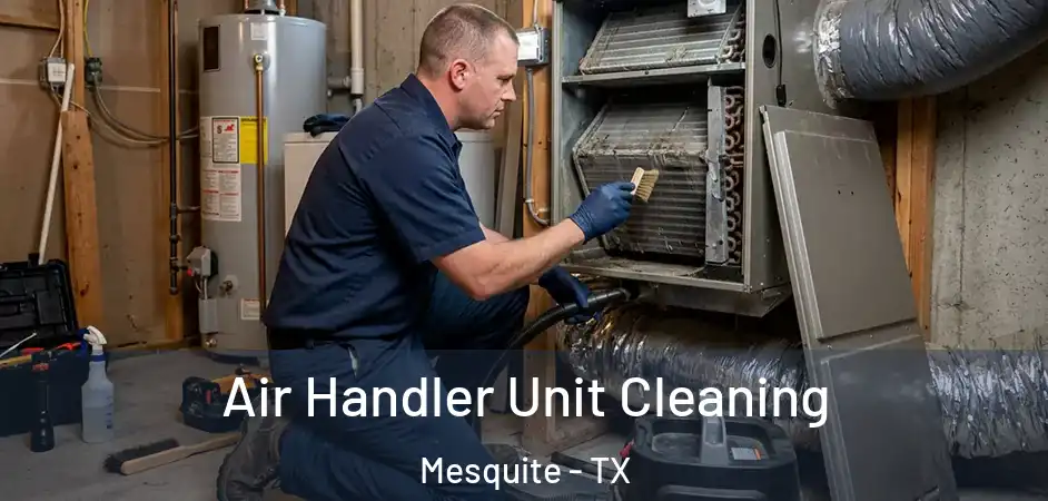 Air Handler Unit Cleaning Mesquite - TX