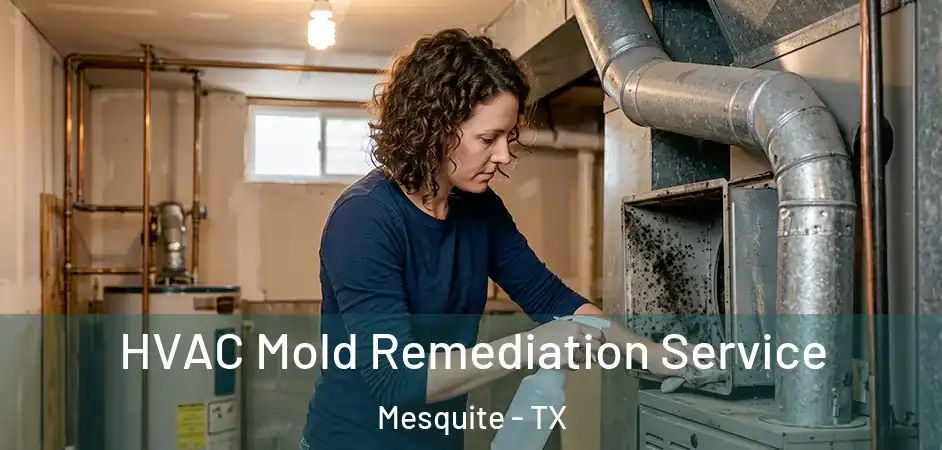 HVAC Mold Remediation Service Mesquite - TX