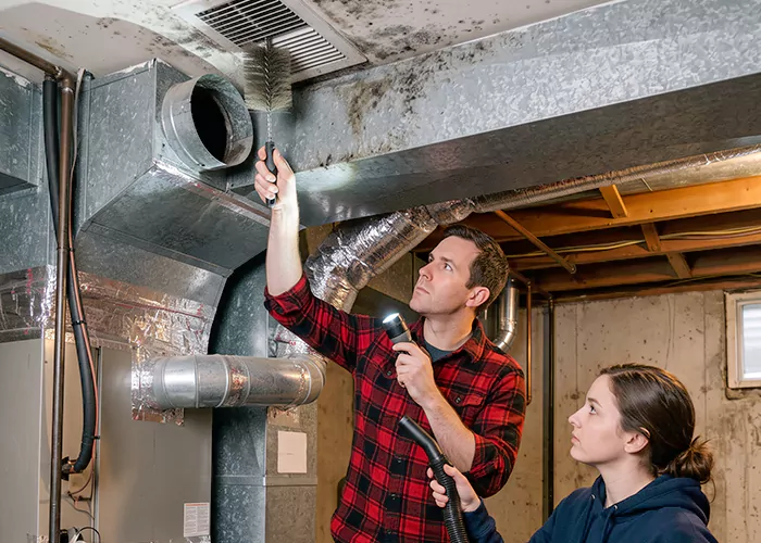 Premier HVAC Mold Remediation Company in Mesquite