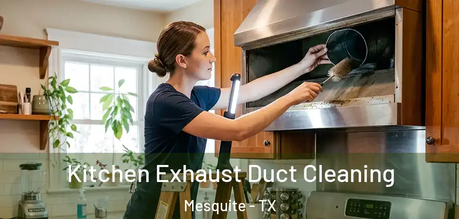  Kitchen Exhaust Duct Cleaning Mesquite - TX
